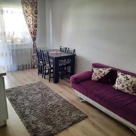 شقة براشوف  في Diana Apartament المظهر الخارجي الصورة